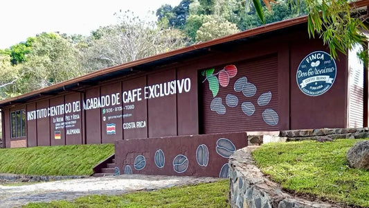 Die Welt des costaricanischen Specialty Coffees